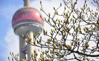 上海市政協(xié)委員：用申報世界文化遺產(chǎn)的方式保護上海工業(yè)遺產(chǎn)