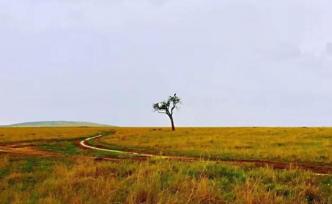 人為什么應(yīng)當(dāng)獨(dú)處？