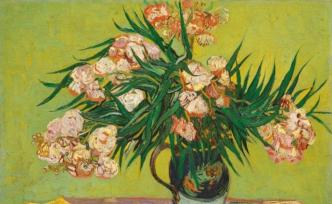 連花蜜都帶毒的夾竹桃，憑什么能在南方城市“爛大街”？