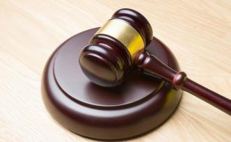 陜西藍田一前國土局職工成23人涉惡團伙頭目，獲刑11年半