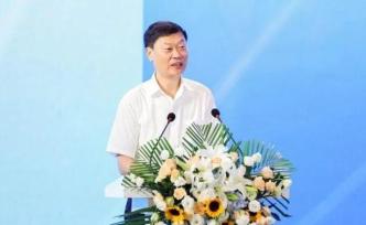 陳新有被責令辭去全國人大代表職務