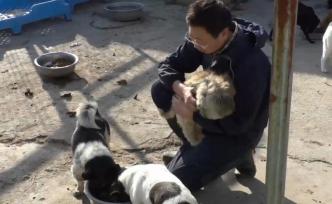 他救助流浪狗10年，每月开支近4万