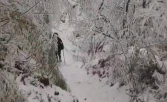 兩驢友在成都彭州九峰山墜崖身亡：遺體已運(yùn)送下山，刑警介入