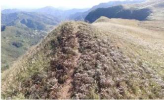 《陳情令》取景荒山被走出一條路，粉絲：像極了我的頭發(fā)