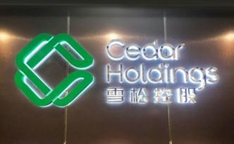 雪松控股并购全球钢贸巨头斯坦科：加速全球化大宗商品布局