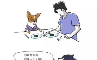 最狠的狼性，是把自己變成狗 