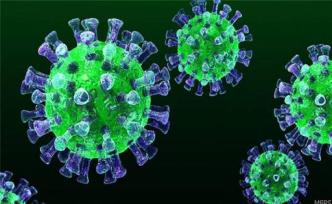 新冠病毒如何感染人類？II型肺泡或是靶細(xì)胞，男性更易感