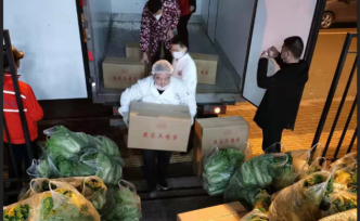 湖北荊門：種植戶全家上陣采摘 “愛心菜”，送到武漢醫(yī)院