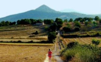 森田療法：順其自然與疫情“順變”