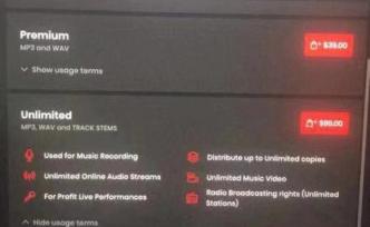 《野狼disco》歌手方面回應(yīng)：購買了伴奏的非獨(dú)家使用權(quán)