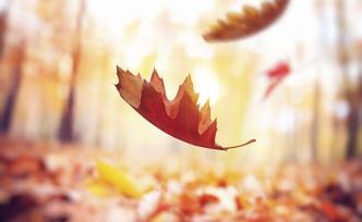 武漢一志愿者感染新冠離世，曾稱“有一份力量就出一份力量”