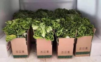 解决蔬菜产与销！上海这个区用微信连接14个基地和百个小区