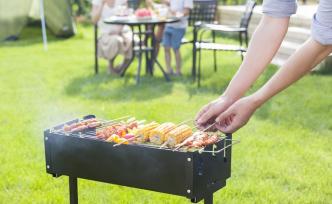 宅家干啥| 既然哪兒也去不了，我和兒子在院子里野炊