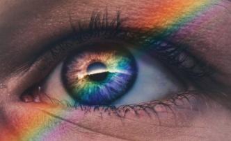 禁足的春節(jié)假期，揭開了現(xiàn)代生活魔盒中的哲學寓言