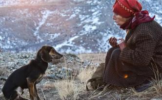 奧斯卡點評之《蜂蜜之地》：人生如此艱難，生活還要繼續(xù)