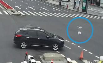 民警路口執(zhí)勤，無(wú)人機(jī)空投口罩巧克力餅干