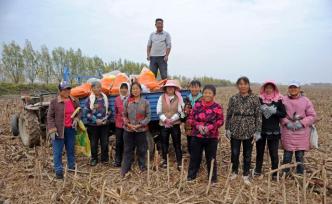 黃河灘里的外鄉(xiāng)人，承包百畝灘地“淘金”，曾因水淹連賠兩年