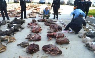 五部門聯(lián)合開展打擊野生動物違規(guī)交易專項(xiàng)執(zhí)法工作