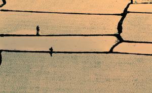 臺(tái)灣聯(lián)合報(bào)刊文：“中研院”應(yīng)解甲歸田，并入各大學(xué)