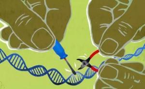 中国留学生倒戈邮件曝光，北大教授饶毅卷进基因魔剪专利之争