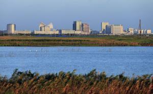 上海臨港推“雙特”政策引人才：最快5年居轉(zhuǎn)戶，可購限價(jià)房