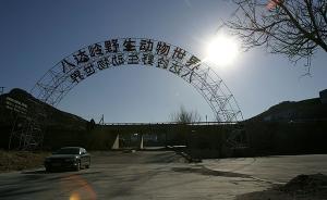 八達嶺野生動物園回應老虎咬人調(diào)查結(jié)果：暫停猛獸區(qū)自駕游覽