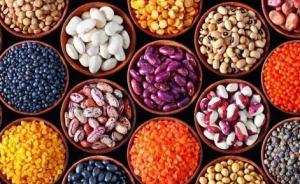 访谈︱梁其姿：中国文化本应崇尚素食