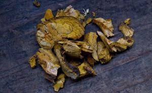 《中醫(yī)藥法》草案二審：委員建議嚴(yán)格限制瀕危動(dòng)植物用藥