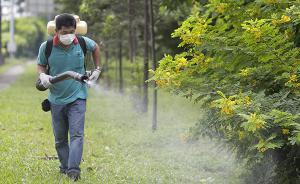 新加坡82人感染寨卡病毒多國發(fā)警示，國內(nèi)旅行社暫照常發(fā)團