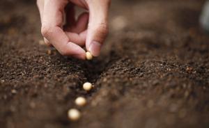 国土部：守住了18亿亩耕地红线，但一些地方地力严重透支