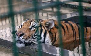 四川內(nèi)江市委原書記、副書記先后落馬：被查時間相差僅一天