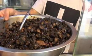 浙江丽水一个夏天吃掉上亿只知了，专家称尚不会影响当地种群