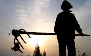 上海急缺新型職業(yè)農(nóng)二代，嘉定區(qū)9萬畝田僅百余中青年農(nóng)民