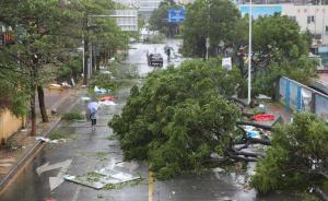 视频｜船舶移位，暴雨如注，桥断房塌，超强台风横扫厦门泉州