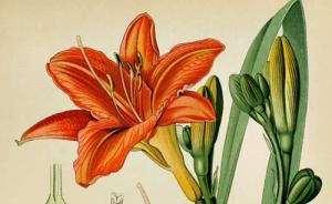 那些花花草草的書有什么好看？