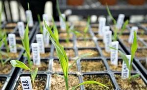 被舉報(bào)的國(guó)家轉(zhuǎn)基因檢測(cè)中心是啥機(jī)構(gòu)？造假爆料遭六點(diǎn)質(zhì)疑