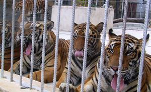 揭秘十八大以來落馬官員判決中的“特定關系人”：七成為情婦