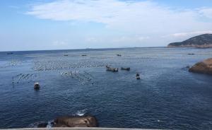 東海無魚下的嵊泗：休漁難敵捕撈產能，漁民提議全面禁漁兩年