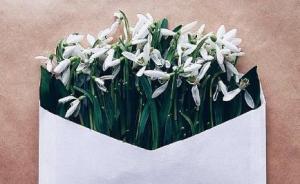 平度3·21纵火案死刑犯今日行刑，狱中家书称是“替死鬼”