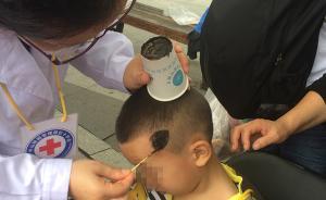 南京中山陵半小時(shí)4人被蜂蜇，工作人員建議避免顏色鮮艷著裝