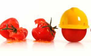 對食物和食品安全的焦慮是如何產(chǎn)生的？