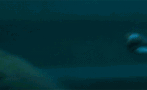 池昌旭的肉体管饱，至于剧情你就别指望了