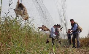 國家林業(yè)局督導(dǎo)組赴津冀現(xiàn)場督導(dǎo)野生候鳥遷徙保護(hù)工作 