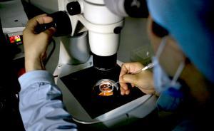 189种兽药一天内验出，快速检测技术亮相上海