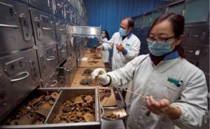 損肝傷腎事件頻發(fā)，中藥究竟有沒有毒？