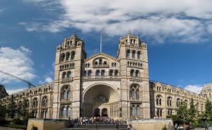 英倫奶爸｜在英國帶孩子參觀博物館：都不要門票