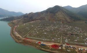 廣東陸豐一人大代表涉毀林建墓被稱“墳爺”，自稱“被索賄”