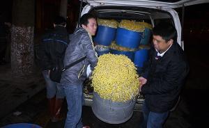 中青報(bào)：解決“毒豆芽”案不僅要司法糾偏，還要終結(jié)監(jiān)管扯皮