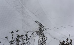 浙江秦山核电周边发现大片捕鸟网，多得“令拆网人失去信心”