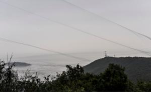 拆網(wǎng)行動｜秦山核電站周邊漫天鳥網(wǎng)，多部門凌晨行動拆15張